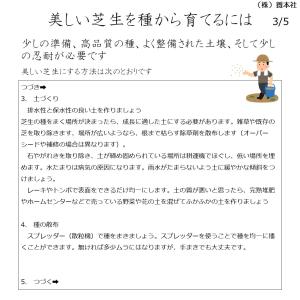 バミューダグラス 品種:トランスコンチネンタル...の詳細画像4