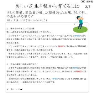 ノシバ種子 品種名:ゼニス 500g スカイシ...の詳細画像2