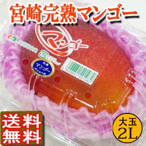 宮崎マンゴー 宮崎県産 完熟マンゴー 2Lサイズ1玉PC入り...