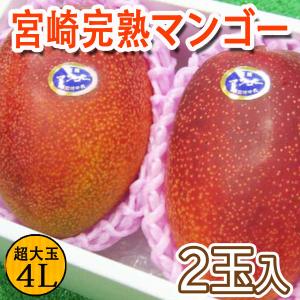 宮崎県産 完熟マンゴー 特大4L2玉 化粧箱入り お中元 贈...