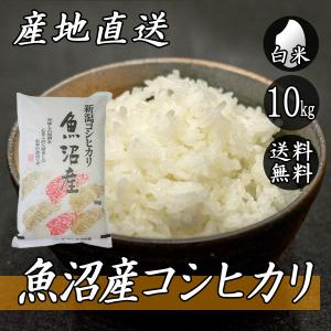 令和7年産 新潟県長岡産 いのちの壱 5kg (5kg×1袋) 送料無料(一部地域