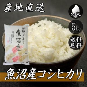 お米 5kg 新潟県長岡産 いのちの壱 5kg×1袋 送料無料(一部地域を除く