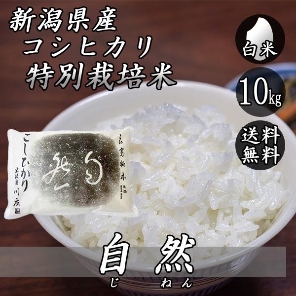令和7年産 新潟県産 コシヒカリ 特別栽培米 自然コシヒカリ 10kg (5kg×2袋)  送料無料...