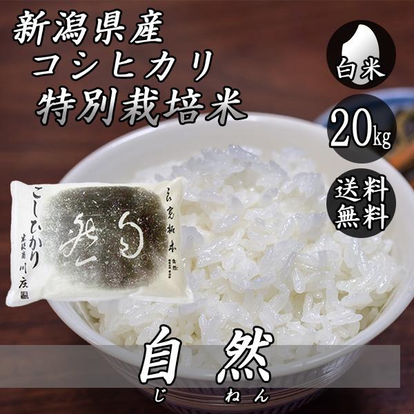 令和7年産 新潟県産 コシヒカリ 特別栽培米 自然コシヒカリ 20kg (5kg×4袋)  送料無料...