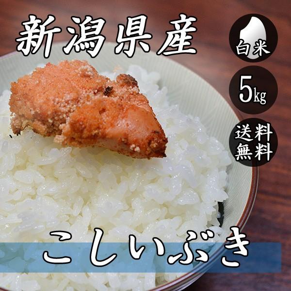 お米 5kg 新潟産 こしいぶき 5kg×1袋 送料無料 令和5年産 白米 米