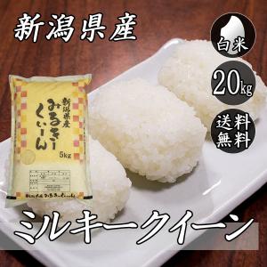 新米 令和7年産 あいちのかおり 玄米30キロ 112901
