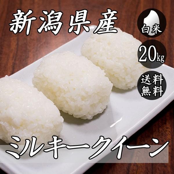 お米 20kg 新潟産 ミルキークイーン 5kg×4袋 送料無料 令和5年産 米 白米