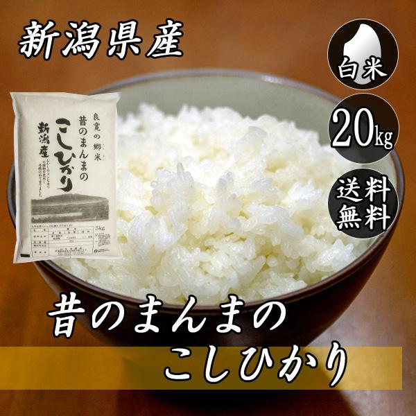 令和7年産 新潟県産 コシヒカリ 昔のまんまのコシヒカリ 20kg (5kg×4袋)  送料無料(一...