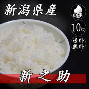 お米 10kg 新潟県産 新之助 5kg×2袋 送料無料(一部地域を除く) 令和7年産 米 白米