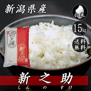 大粒な新米・令和7年産　新潟　新之助　白米5キロ2個（10kg) 　★農家直送 令和7年産 新潟県産 新之助 10kg (5kg×2袋) 送料無料(一部地域を除く