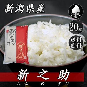 令和7年産 新潟県長岡産 いのちの壱 5kg (5kg×1袋) 送料無料(一部地域
