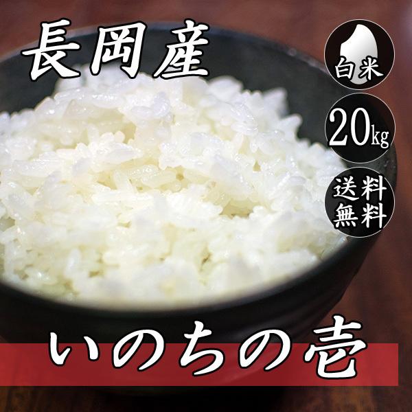 お米 20kg 新潟県長岡産 いのちの壱 5kg×4袋 送料無料(一部地域を除く) 令和7年産米 白...