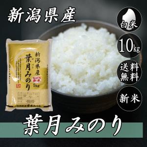 コシヒカリ 令和7年産 新潟県産 昔のまんまのコシヒカリ 10kg (5kg×2袋