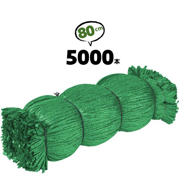 シート紐 80cm シートひも シート用紐 足場 紐 緑 5000本