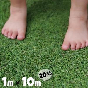 芝丈20mm 幅1m 長さ10m リアル人工芝 ...の商品画像