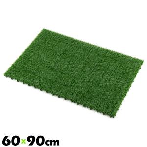 1枚 60×90cm コンドル 若草ユニット 日...の商品画像