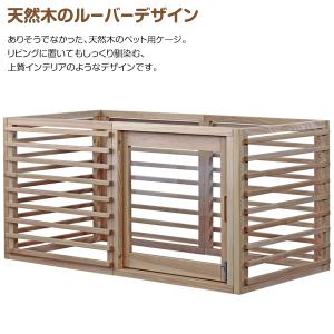 Lサイズ Wancage+ ワンケージプラス ...の詳細画像2