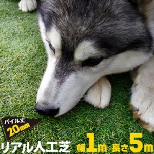リアル人工芝 【芝丈20mm】【幅1m】【長さ5m】天然芝のような 庭 ガーデン 草 人芝 水はけ ...
