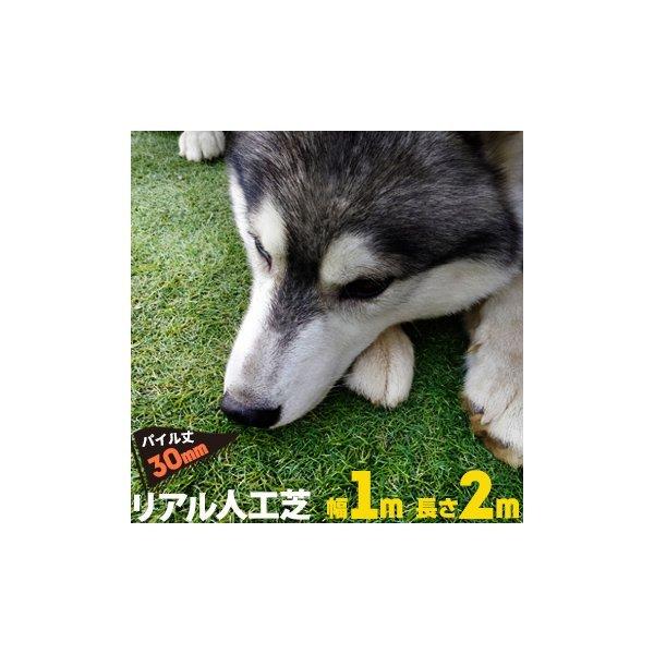 リアル人工芝 【芝丈30mm】【幅1m】【長さ2m】天然芝のような 庭 ガーデン 草 人芝 水はけ ...