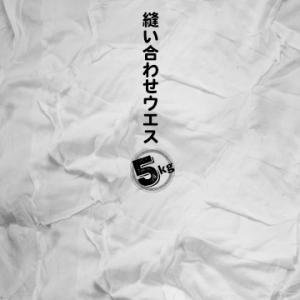 綿縫い合わせウエス つぎはぎウエス 5kg  機械整備 自動車整備 塗装 木工 印刷