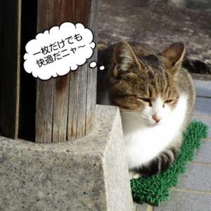 【法人様限定 特別価格】 ワタナベ工業製 ジョ...の詳細画像5