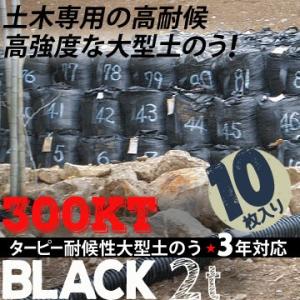 耐候性 大型土のう 3年対応 300KT 10枚