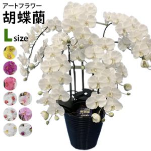 アートフラワー 胡蝶蘭 Lサイズ 梱包440×560×900mm 重量7kg 鉢直径25cm（9号）...