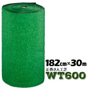 【法人様限定 特別価格】 人工芝 WT-600 ...の商品画像