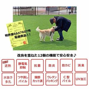 人工芝 リアリーターフ ヨーロピアンロング R...の詳細画像1