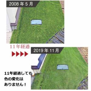 人工芝 リアリーターフ ヨーロピアンロング R...の詳細画像4