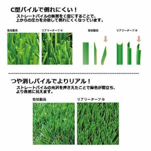 人工芝 リアリーターフ ヨーロピアンロング R...の詳細画像2