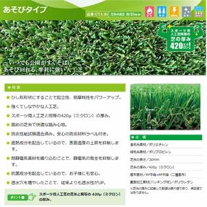 (2026年3月19日出荷予定)クローバーター...の詳細画像1