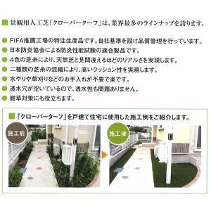 (2026年3月19日出荷予定)クローバーター...の詳細画像4