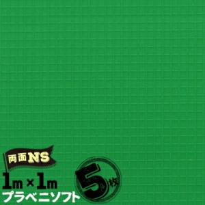 セキスイ プラベニソフト 両面NS 両面ノンスリップ シートタイプ 5枚  1000mm×1000m...