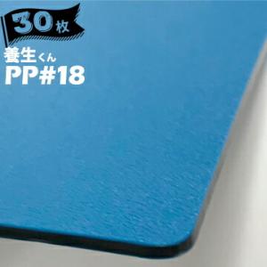第一大宮 養生くん PP-18 ライトブルー 30枚 厚さ 1.8mm 850mm×1700mm プ...
