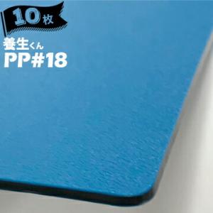 第一大宮 養生くん PP-18 ライトブルー 10枚 厚さ 1.8mm 850mm×1700mm プ...