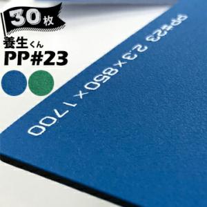 第一大宮 養生くん PP-23 青/緑 30枚 厚さ 2.3mm 850mm×1700mm プラスチ...