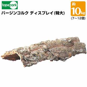 お任せ 20×50cm コルク樹皮 コルク板 バージンコルク チランジア