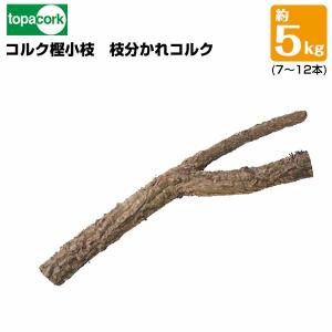 バージンコルク　チューブ　超特大 Amazon.co.jp: バージンコルクチューブ 24cm 直径60