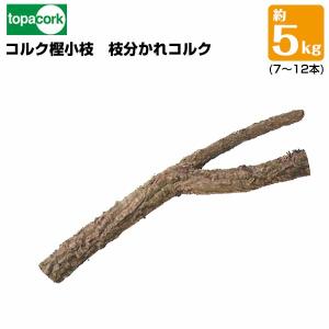 園芸用コルク枝分かれコルク 外径25〜75mm×長さ400〜600mm 重量0.4〜1kg 約5kg（7〜12本） 園芸花材用 養生ラン演出用 天然素材｜yojozai