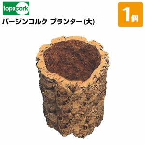 園芸用コルク枝分かれコルク 外径25〜75mm×長さ400〜600mm 重量0.4