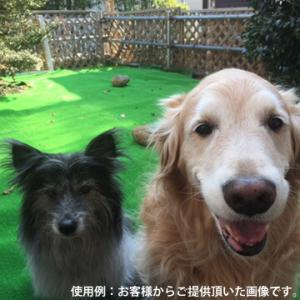 人工芝 WT-600 正巻 182cm幅×30...の詳細画像4