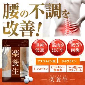 腰痛に効く薬 腰痛 肩こり 関節痛 腰の痛み 歯茎の腫れ 薬 サプリ サプリメント 歯茎 膝 疲労 楽養 改善 解消 腰痛み 膝痛み 効く 市販薬 楽養生｜養生仙薬Yahoo!店