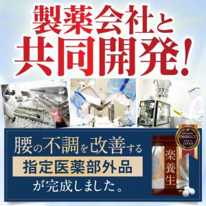 【公式】楽養生 歯周病薬 歯痛 歯肉炎 歯槽膿...の詳細画像4
