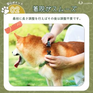 犬 首輪 リード しばおもい おしゃれ 犬 猫...の詳細画像5