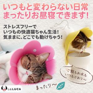 エリカラ エリザベスカラー 猫 ネコ 軽量 ソ...の詳細画像3