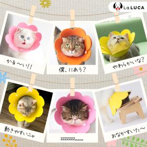 エリカラ エリザベスカラー 猫 ネコ 軽量 ソ...の詳細画像4