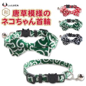 VetSolution 猫用 胃腸サポート ( 2kg×2セット ) : ペットランド
