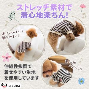 犬 服 綿 ドッグウェア ボーダー パーカー ...の詳細画像2