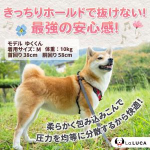 犬 ハーネス リード 抜けにくい 小型犬 中型...の詳細画像3
